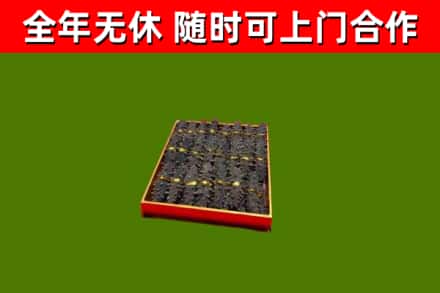 赫章县回收海参